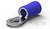 Niebieski izolowany końcówka kablowa z metalowym pierścieniem do połączeń elektrycznych. Stosowana do podłączania przewodów do złącza śrubowego.