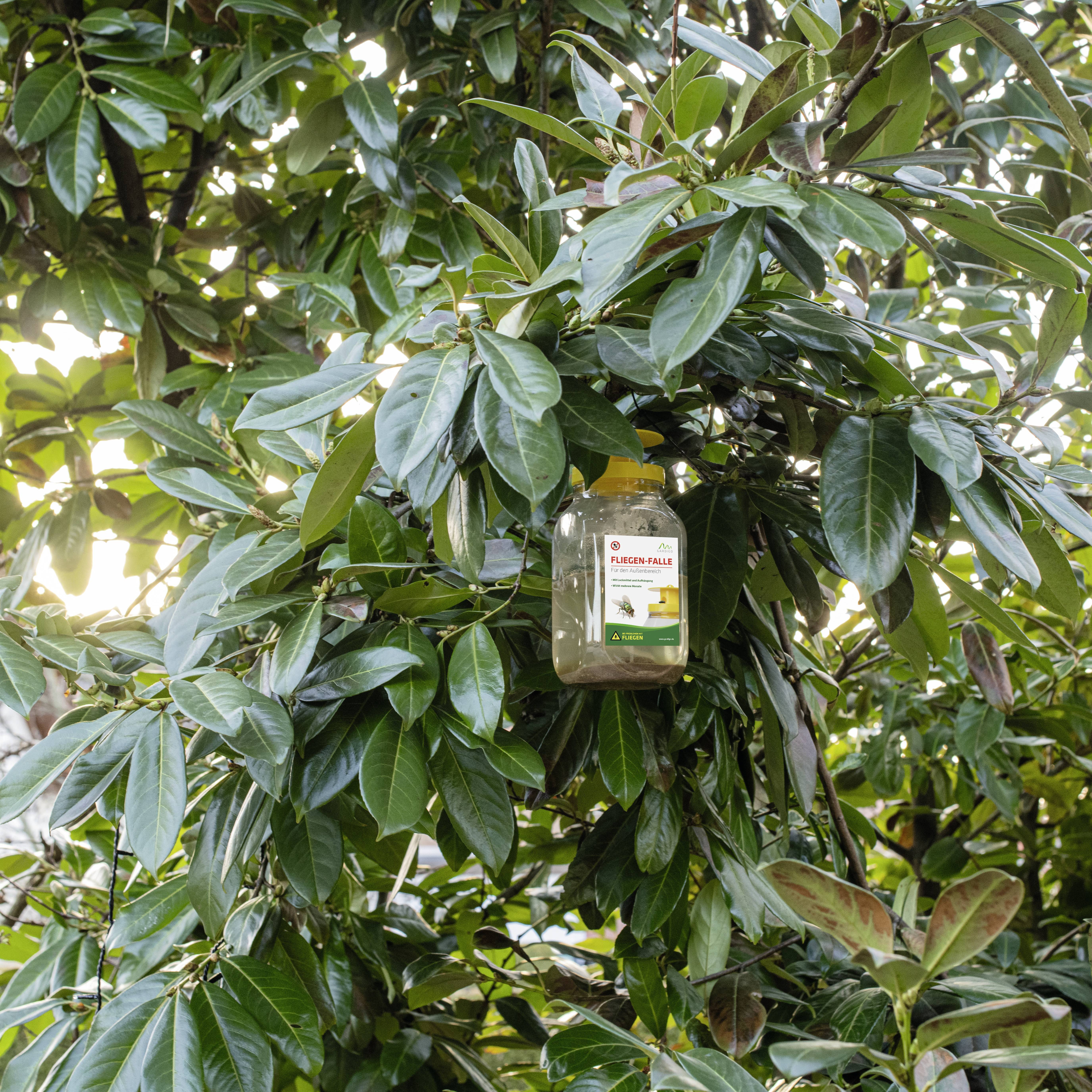 Мухоловка Gardigo 66805 з антиотрутою (Ø x В) 86 мм x 195 мм 1 шт.