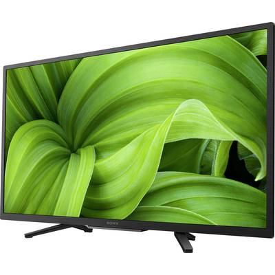 Telewizor z czarną ramką wyświetla obraz dużych, zielonych liści.