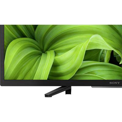 Telewizor z ekranem wyświetlającym obraz bujnej zielonej roślinności, który wywołuje wrażenie kontaktu z naturą.