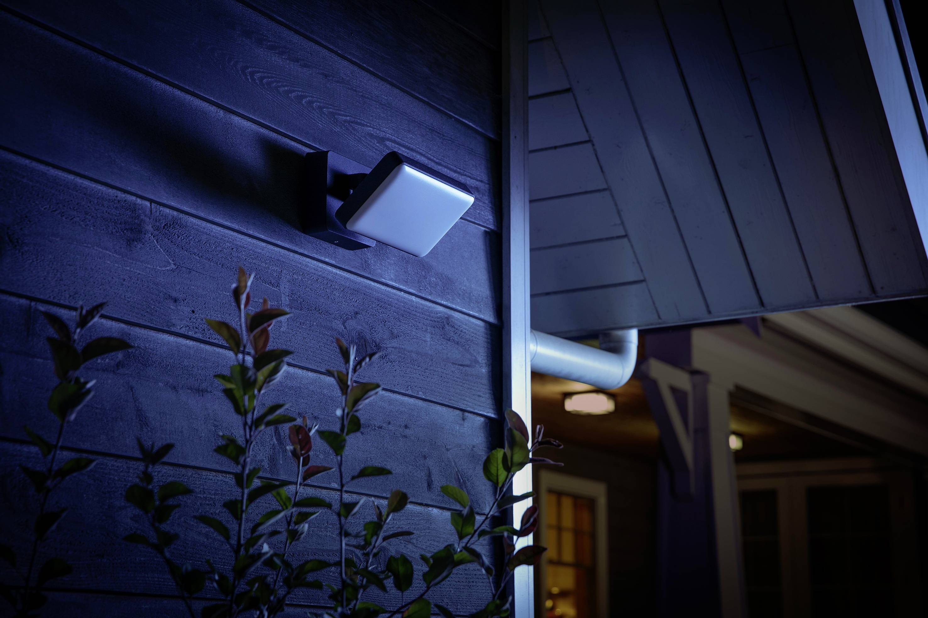 Ściana zewnętrzna z włączonym reflektorem nocą. W tle widoczny jest dach domu, a na pierwszym planie rośliny.