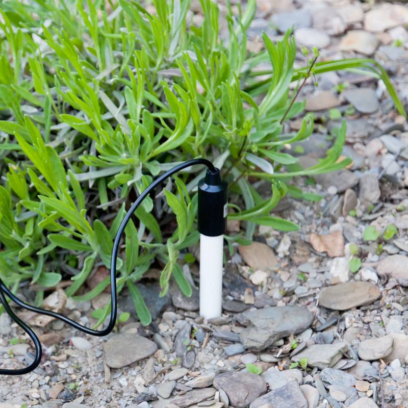 Czujnik wilgotności gleby jest umieszczony w suchej, kamienistej ziemi obok zielonej rośliny, aby zebrać dane dotyczące wilgotności.