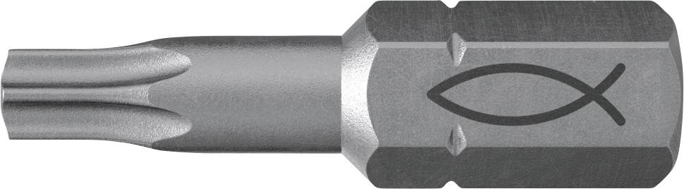 Bity Fischer FPB T 20 PROFI Bit W 10 557847 10 szt.