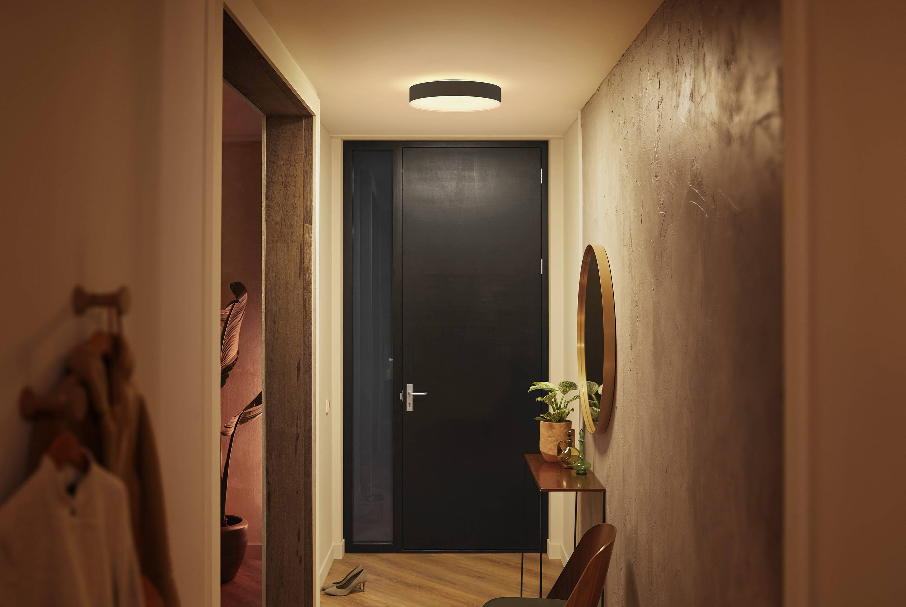 Wąski korytarz z drewnianą podłogą, po lewej stronie wiszą ubrania, po prawej stoi stolik z rośliną. W tle zamknięte drzwi.
