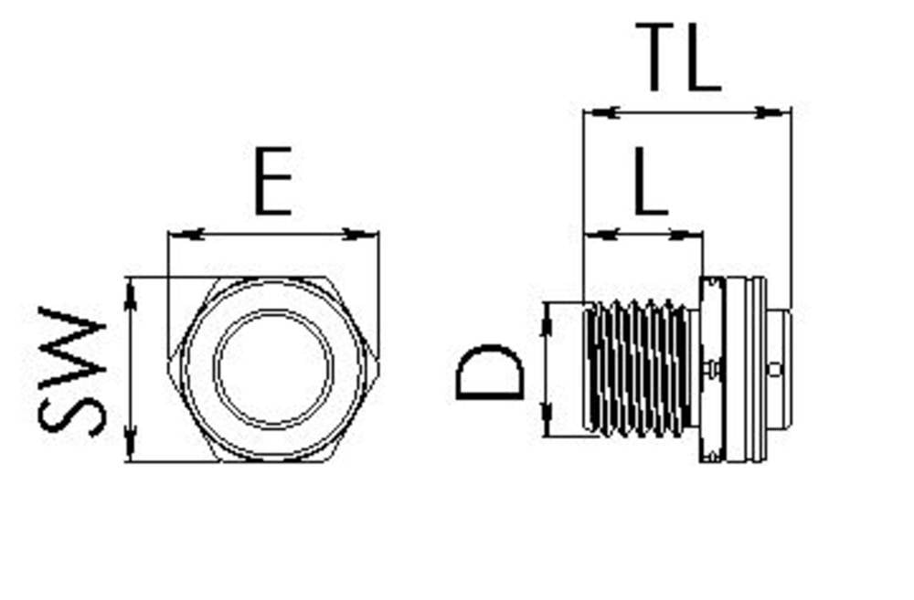 Rysunek techniczny śruby sześciokątnej z gwintem. Wymiary: SW (rozstaw klucza), E (średnica), D (średnica), L (długość), TL (długość całkowita).
