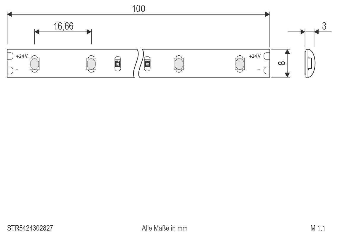 Rysunek techniczny segmentu taśmy LED o długości 100 mm z polaryzacją +24V, szerokości 8 mm, grubości 3 mm i rozstawą diód LED 16,66 mm.
