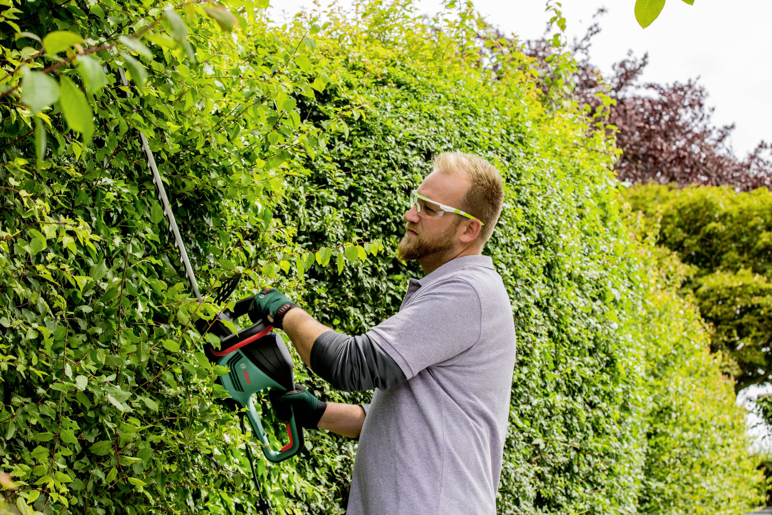 Електричний тример для живоплоту Bosch Home and Garden AdvancedHedgecut 65 500 Вт