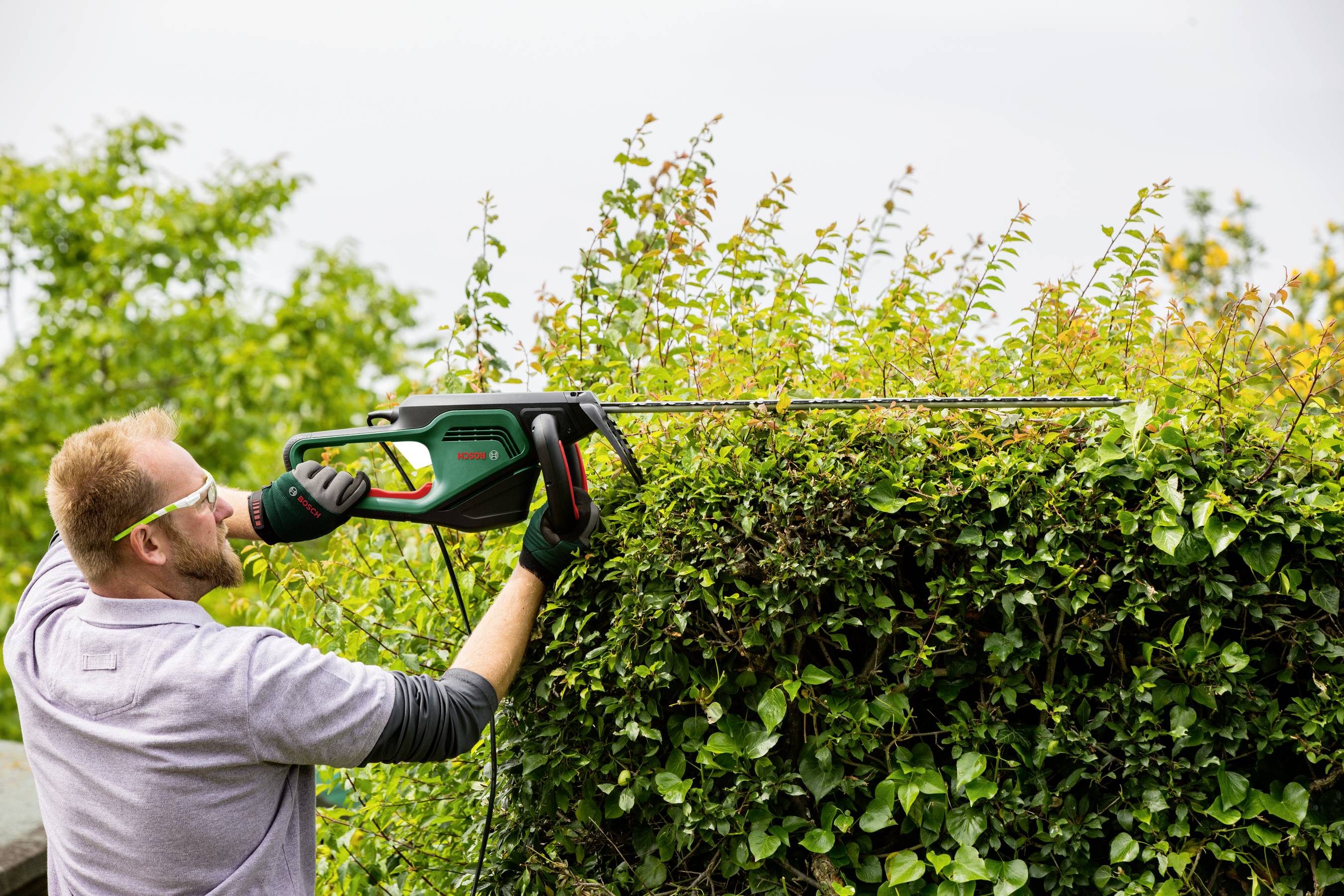 Електричний тример для живоплоту Bosch Home and Garden AdvancedHedgecut 65 500 Вт