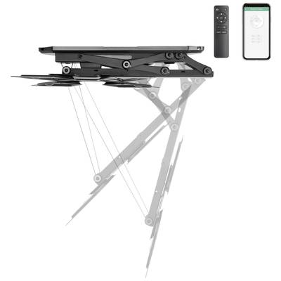 SpeaKa TV-Tischhalterung Höhenverstellbar 58-140cm - Schwenkbar & Neigbar Mit Glasstandfuß