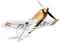 Zdalnie sterowany model samolotu w locie z białowo-złotym kadłubem, napis 'FLY' na skrzydłach. Śmigło się obraca.