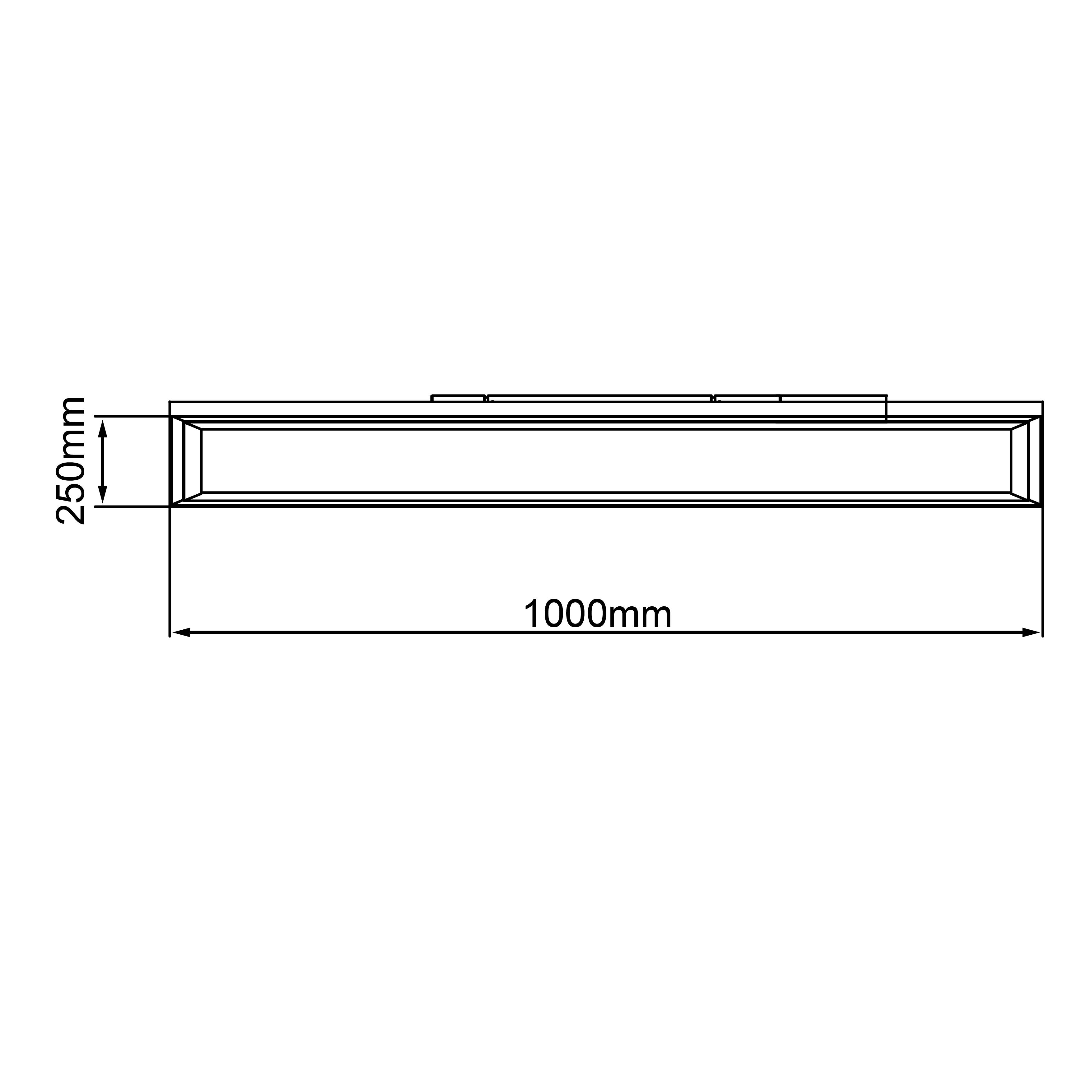Diagram prostokątnej struktury o szerokości 1000 mm i wysokości 250 mm, widok z góry bez dodatkowych szczegółów.