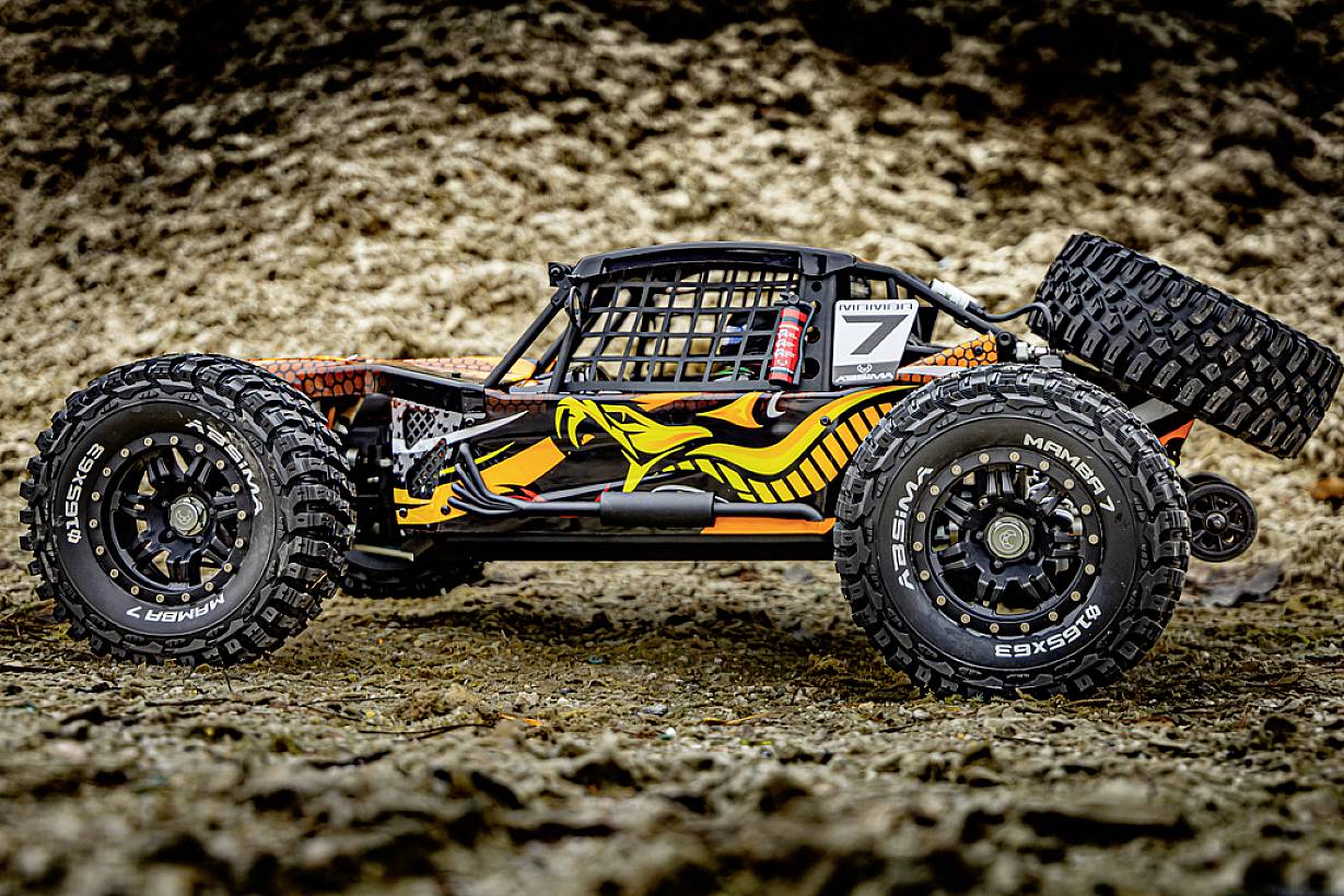 Zdalnie sterowany samochód z wyStylizowanym motywem węża na karoserii stoi na kamienistym podłożu.