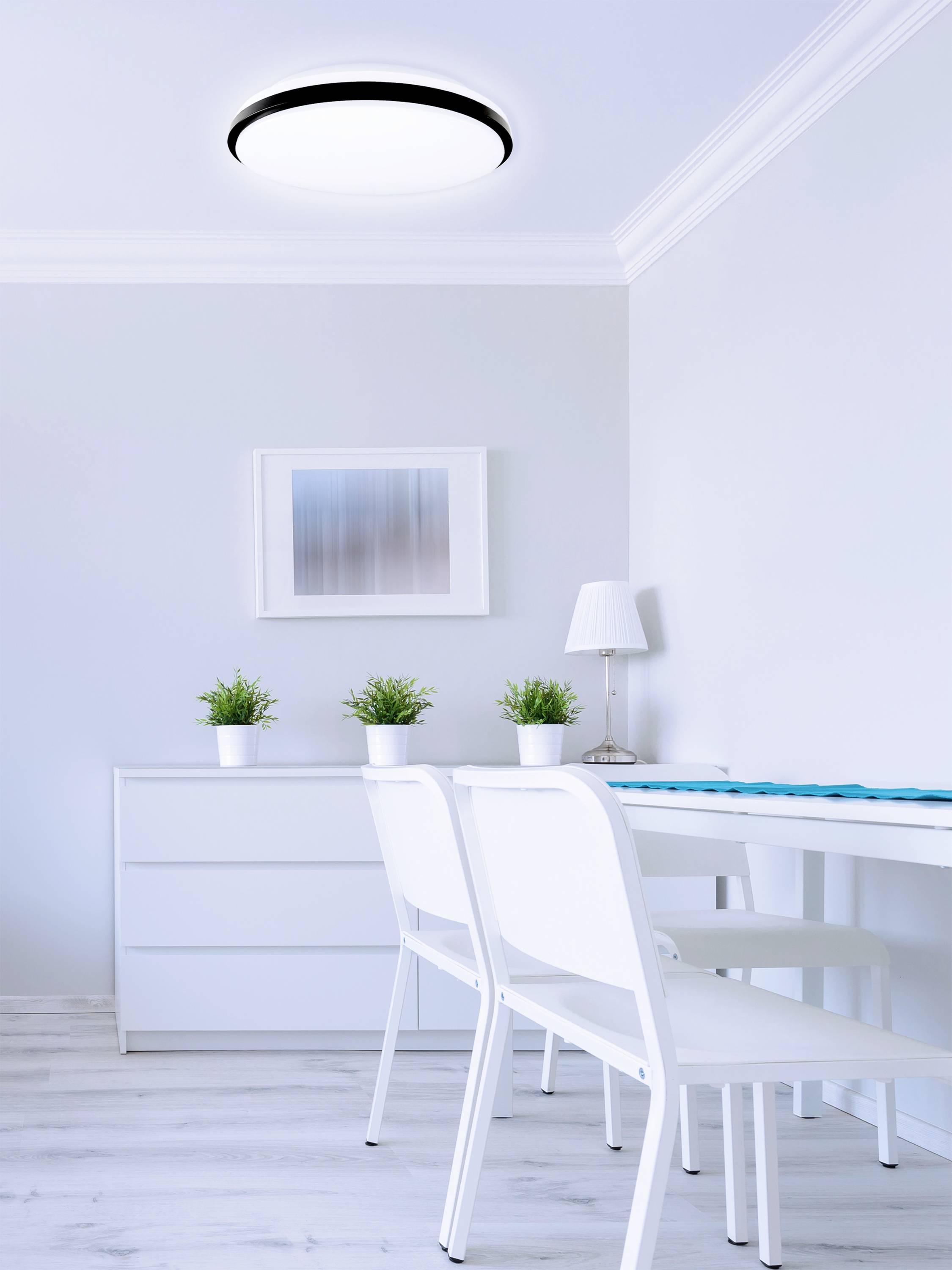 Jasna, nowoczesna jadalnia z białymi krzesłami i stołem, trzy rośliny na komodzie, oprawiony obraz na ścianie, lampa sufitowa.