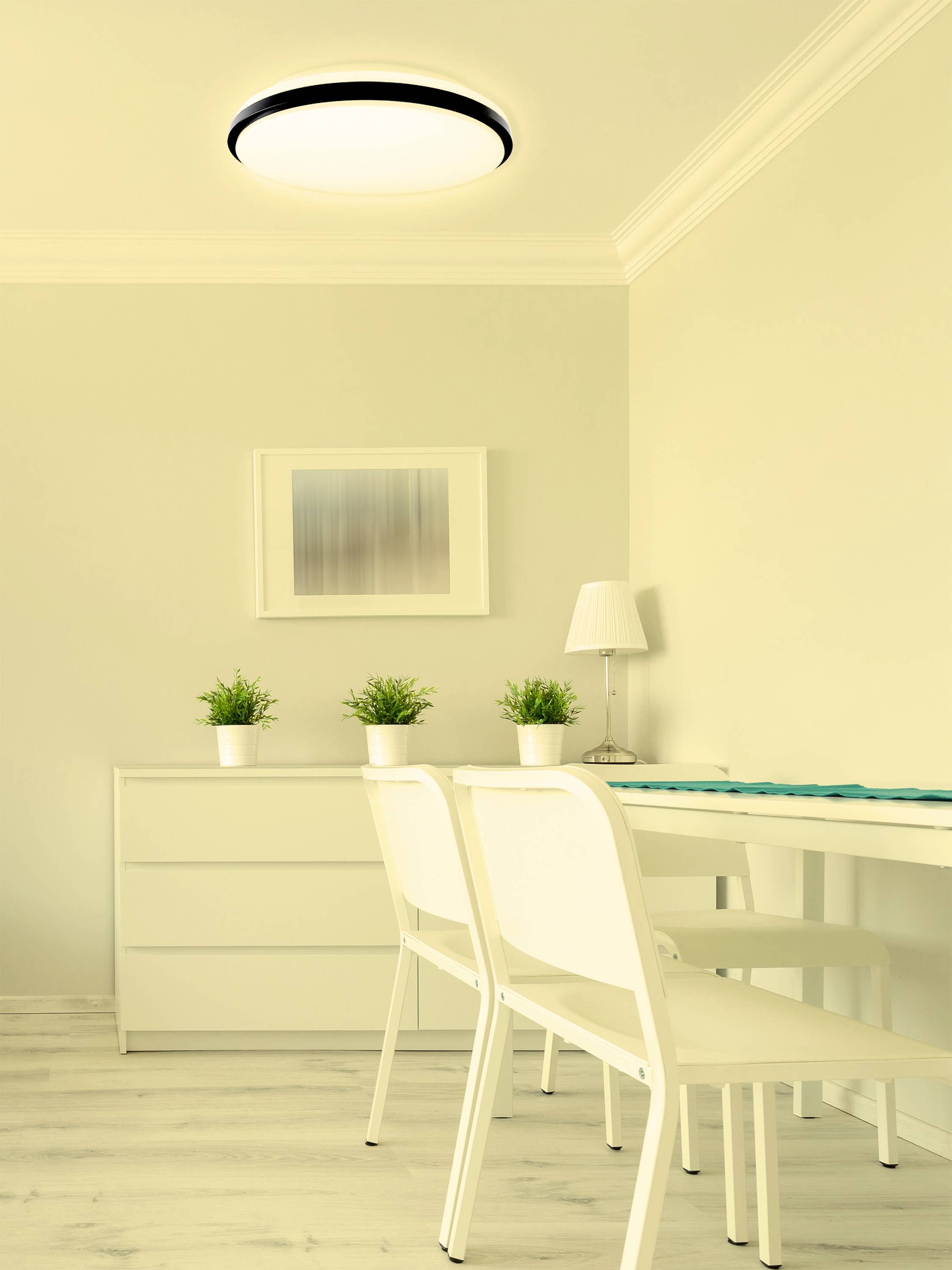 Jasna, nowoczesna przestrzeń z dwoma białymi krzesłami i stołem, ozdobiona roślinami na komodzie i lampką stołową.