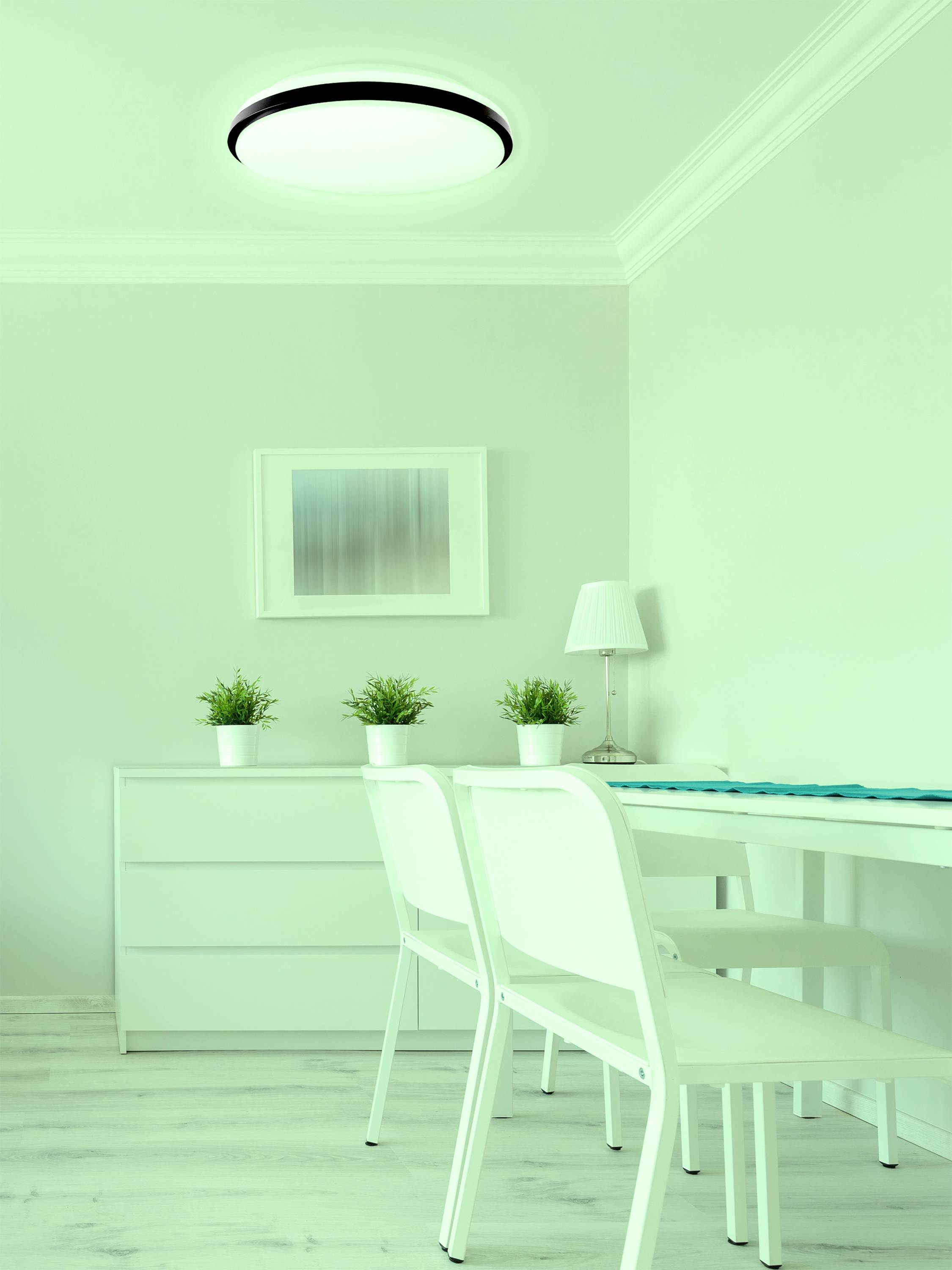 Minimalistycznie urządzony pokój z dwoma białymi krzesłami, biurkiem i komodą. Rośliny i lampa zostały dekoracyjnie rozstawione.