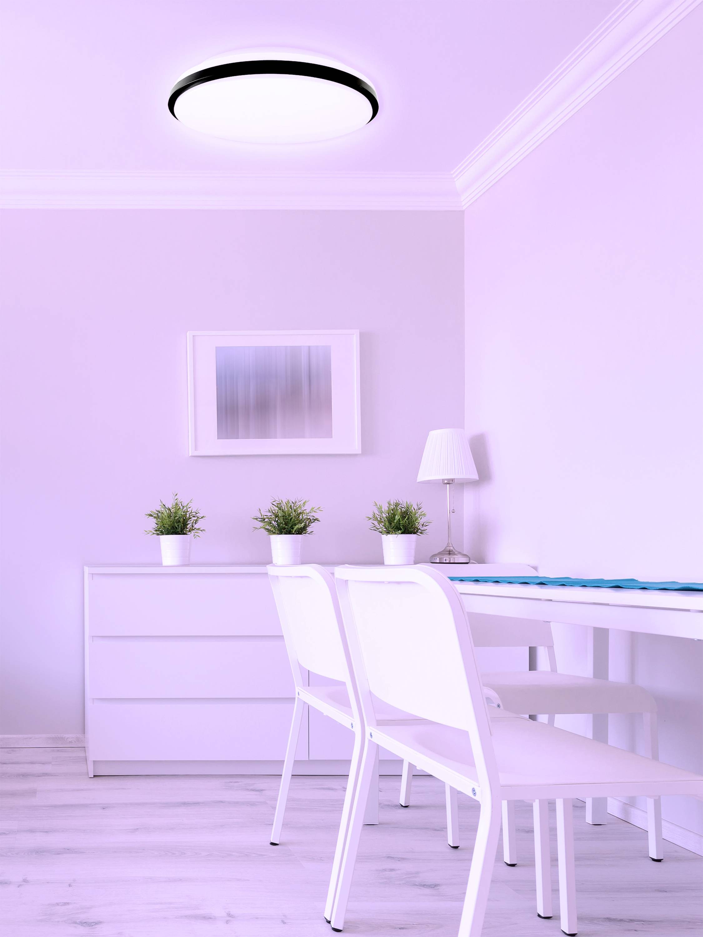 Jasne, nowocześnie urządzono pomieszczenie z białym stołem i krzesłami, na których stoją trzy małe rośliny. Lampa na suficie rzuca światło.