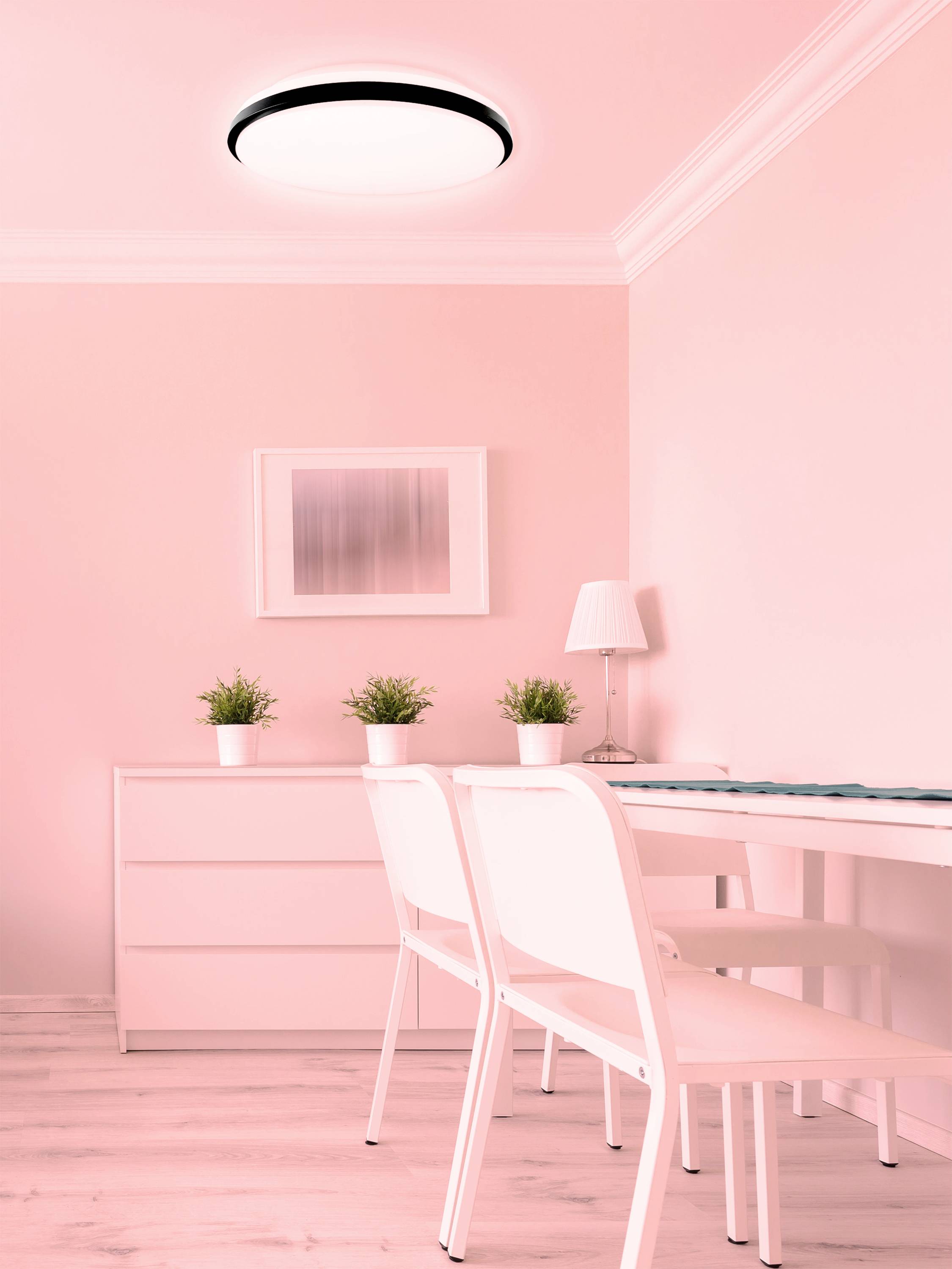 Jasne pomieszczenie z dwoma białymi krzesłami przy stole, małymi roślinami na półce oraz obrazem na różowo pomalowanej ścianie.