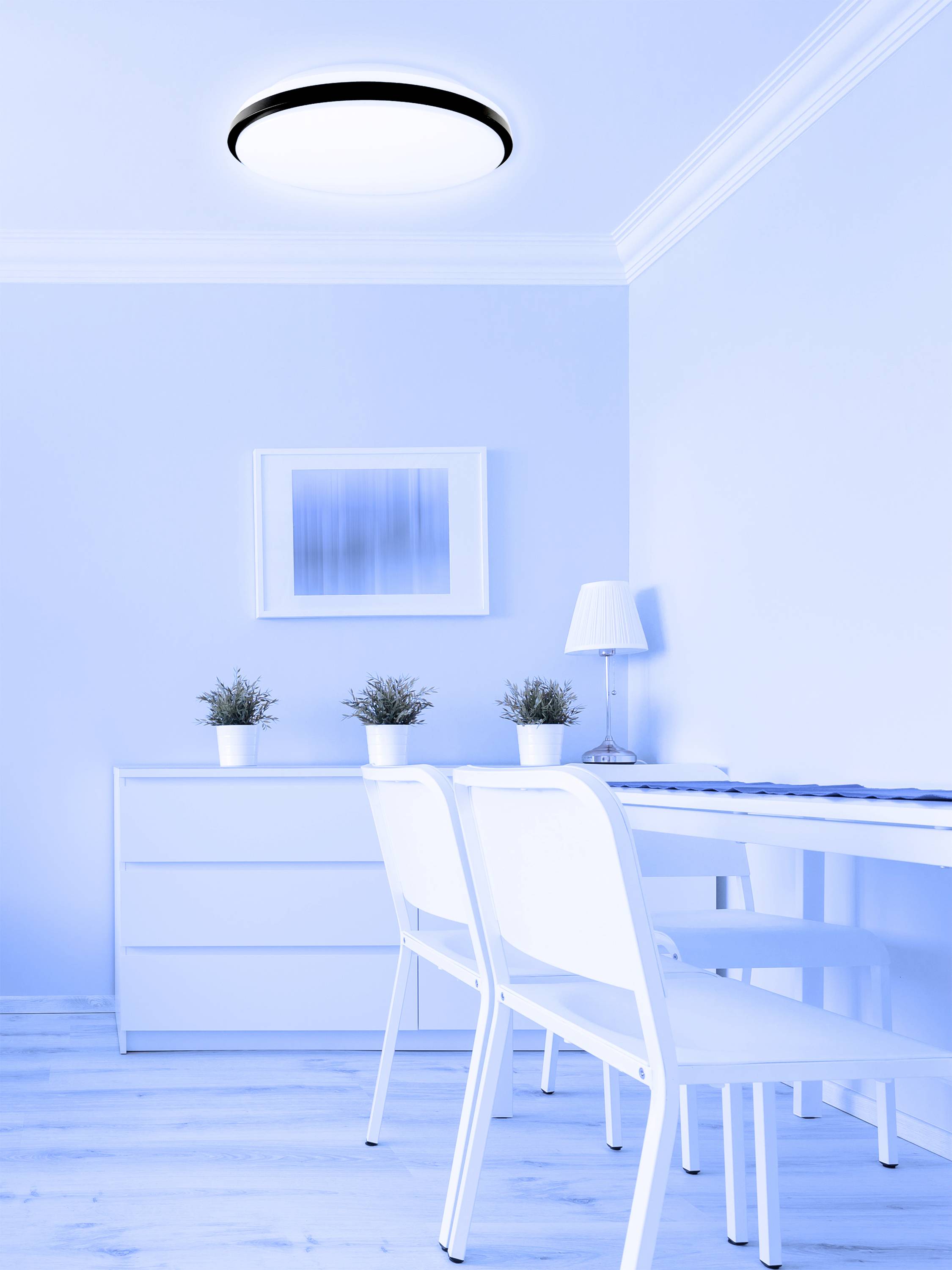 Minimalistyczny pokój z dwoma białymi krzesłami przy stole, trzema małymi roślinami na komodzie oraz lampą na ścianie.