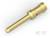Złoty metalowy pin do połączeń elektrycznych, z okrągłą główką i wąskim trzpieniem, na białym tle.