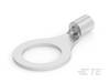 TE Connectivity 321165, 1 szt.