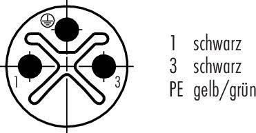 Diagram podłączenia kabla przedstawia trzy kręgi połączone liniami. Kontakt 1 i 3 są czarne, PE jest żółto-zielony. Symbol uziemienia w lewym górnym rogu.
