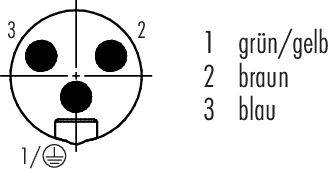 Oznaczenie wtyczek numerami: '1' dla zielono/żółtego, '2' dla brązowego, '3' dla niebieskiego. Diagram przedstawia rozmieszczenie wtyczek z symbolem uziemienia.