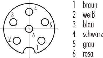 Tarcza numeryczna z sześcioma ponumerowanymi kołami, kodowanymi kolorami: 1 brązowy, 2 biały, 3 niebieski, 4 czarny, 5 szary, 6 różowy. Koło w centrum.