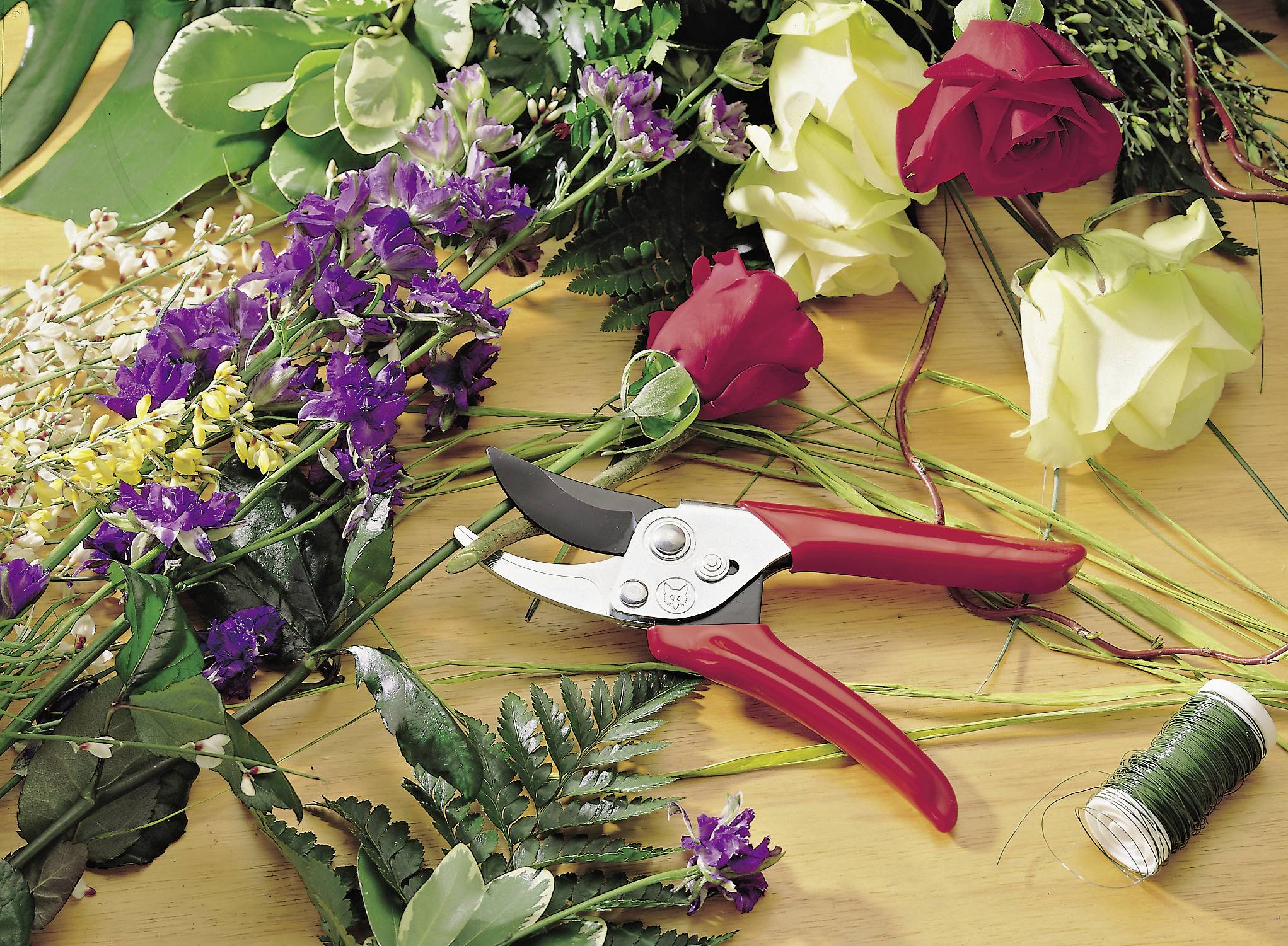 WOLF-Garten 73AFA008650 RR-EN Обвідний садовий секатор