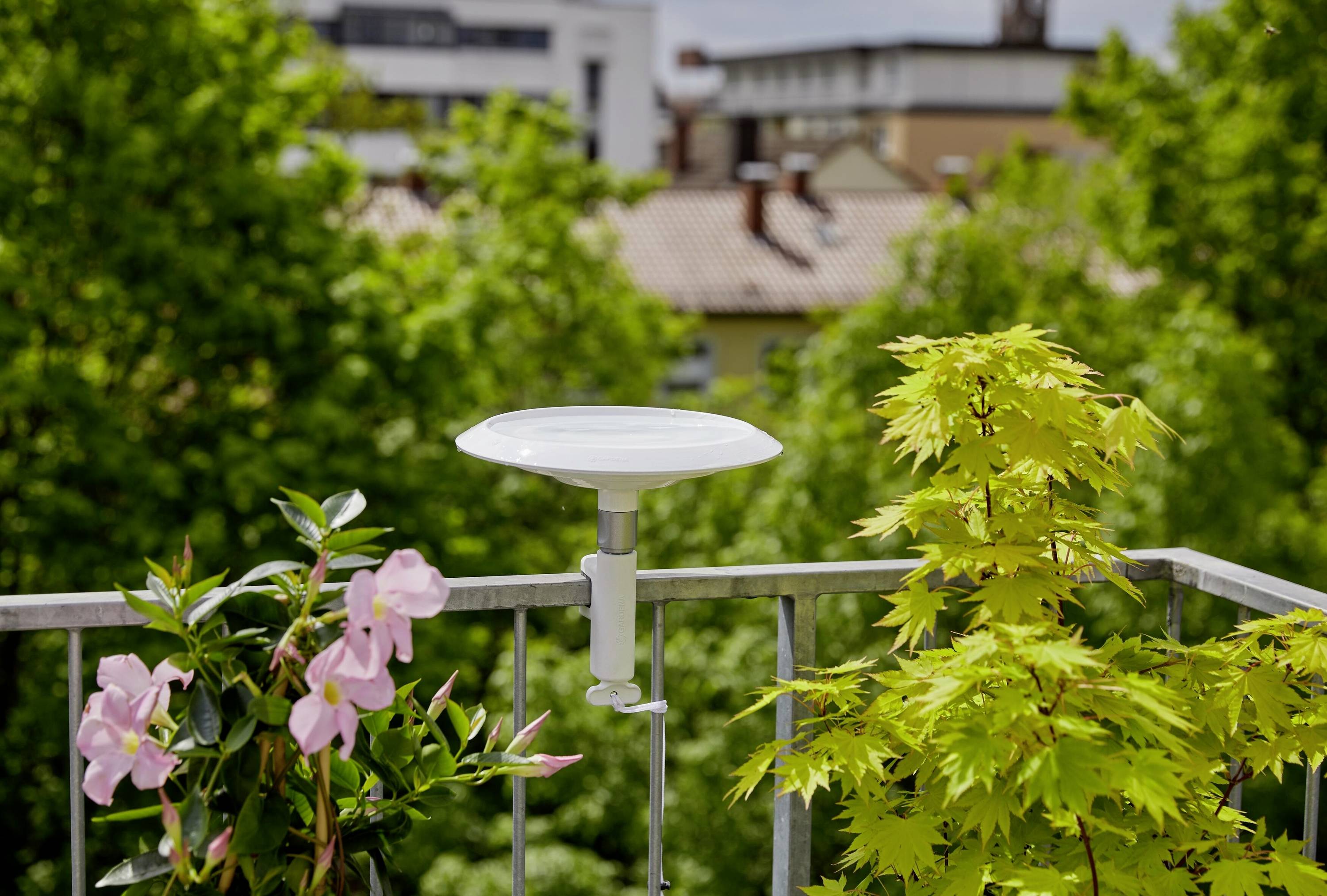 Balkon z roślinami i białą, okrągłą anteną, otoczony zielonymi drzewami i budynkami w tle.