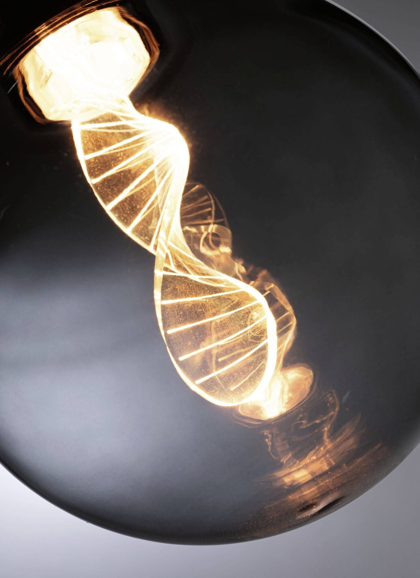 Żarówka z widocznym, świecącym włóknem w kształcie podwójnej helisy DNA, symbolizująca naukę i innowację.
