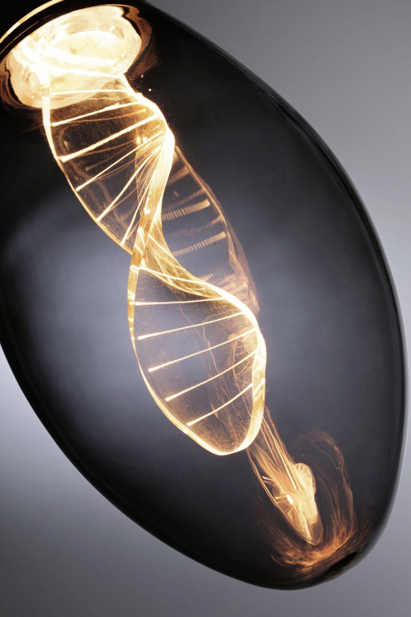 Żarówka z delikatnym, spiralnym włóknem przypominającym nić DNA, emitująca jasne, ciepłe światło.