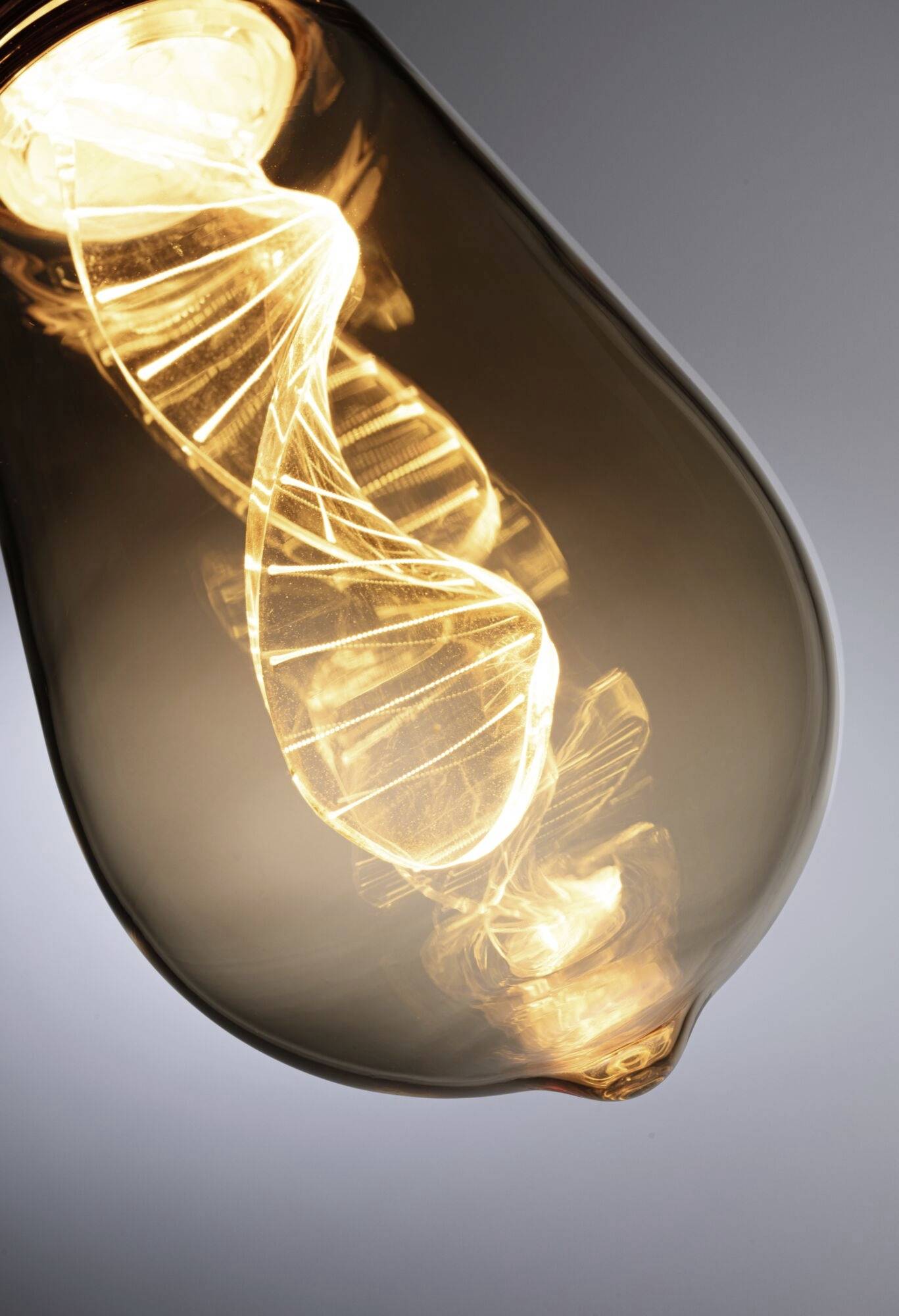 Żarówka ze spiralnie ukształtowanym włóknem świeci ciepłym światłem.