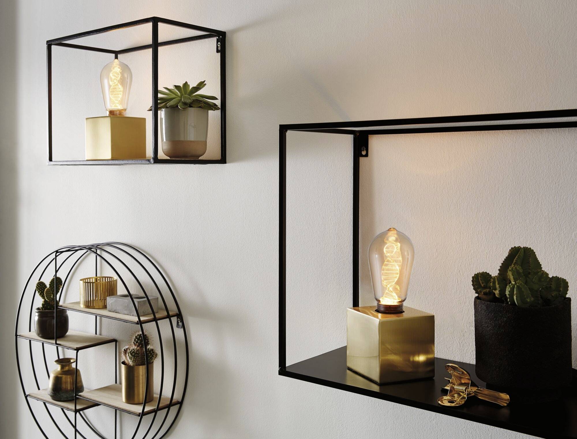 Półki z dekoracyjnymi roślinami i żarówkami w nowoczesnym, minimalistycznym stylu.
