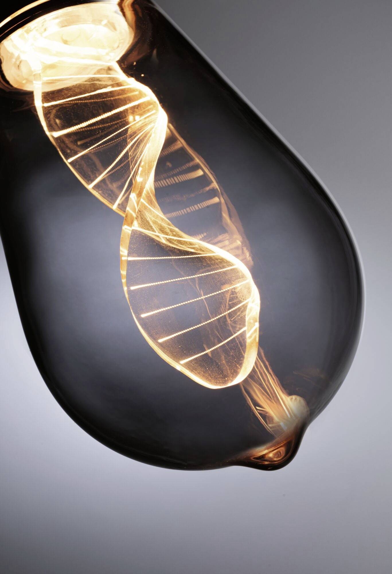 Żarówka z żarzącą się, spiralną nitką wewnątrz, przypominającą podwójną helisę DNA, symbolizuje innowację.