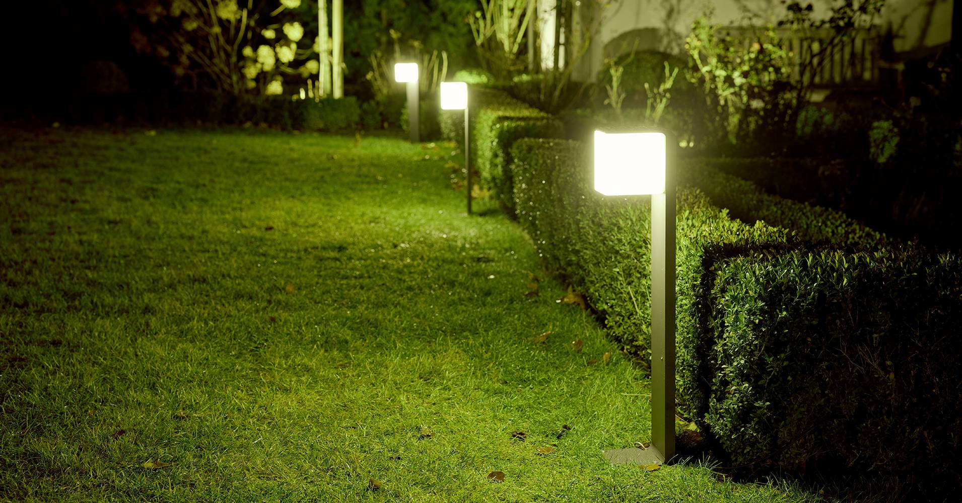 Obszar ogrodu z zadbany trawnikiem, oświetlony rzędem świecących, kwadratowych lamp ogrodowych ustawionych wzdłuż żywopłotu.