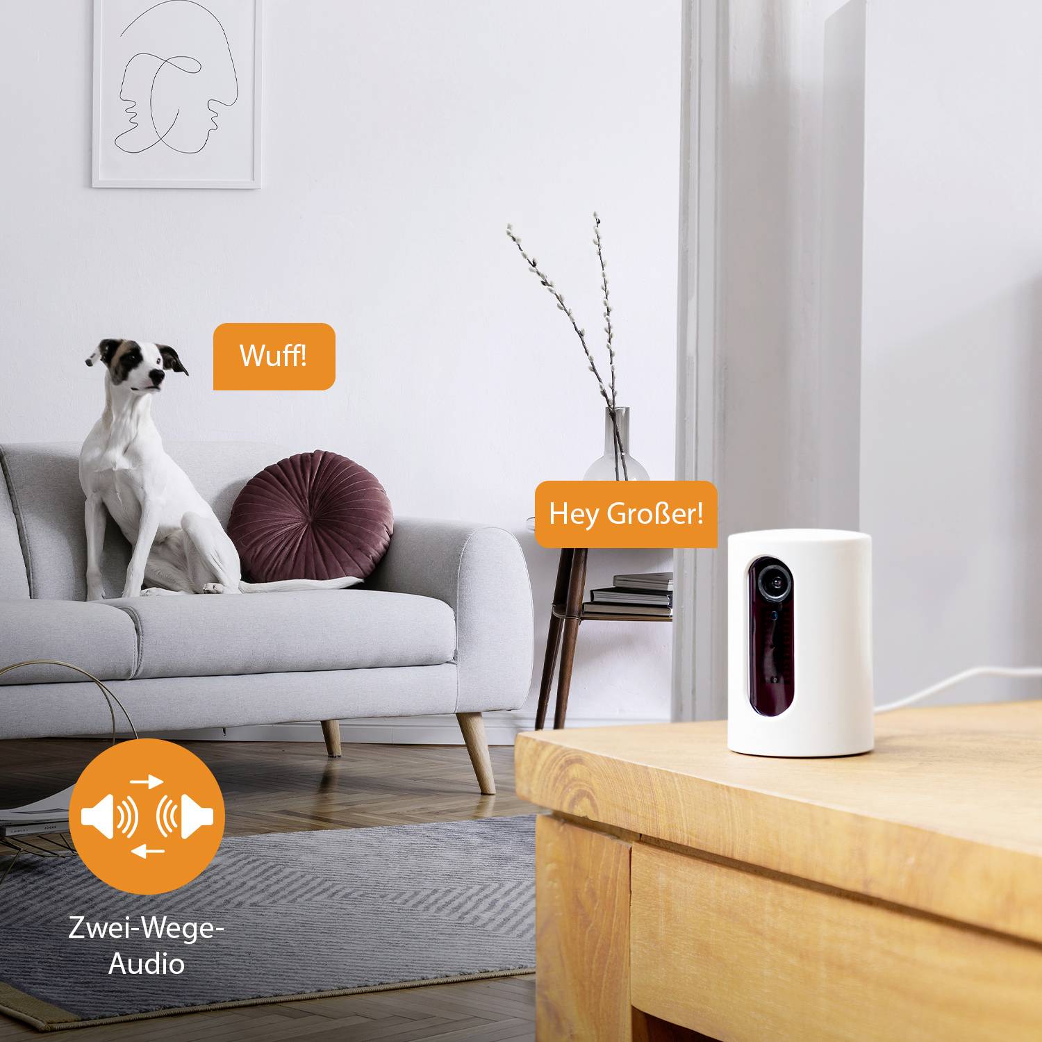 Pies siedzi na kanapie, a w dymku napisane jest 'Woof'. W drugiej mówionej chmurce: 'Cześć, stary!'. Na pierwszym planie widać aparat.