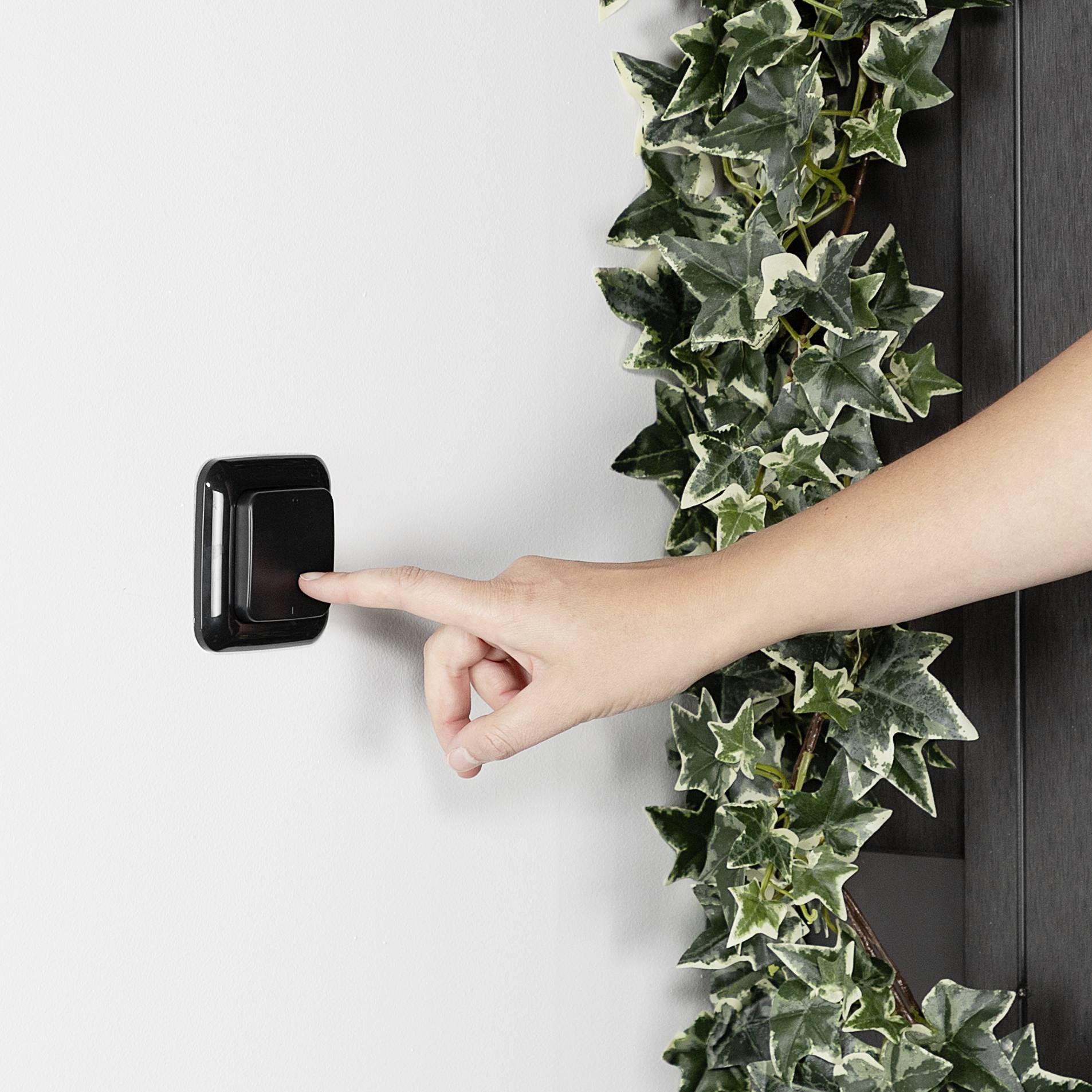 Dłoń naciska włącznik naścienny obok pnącej rośliny z zielonymi liśćmi.