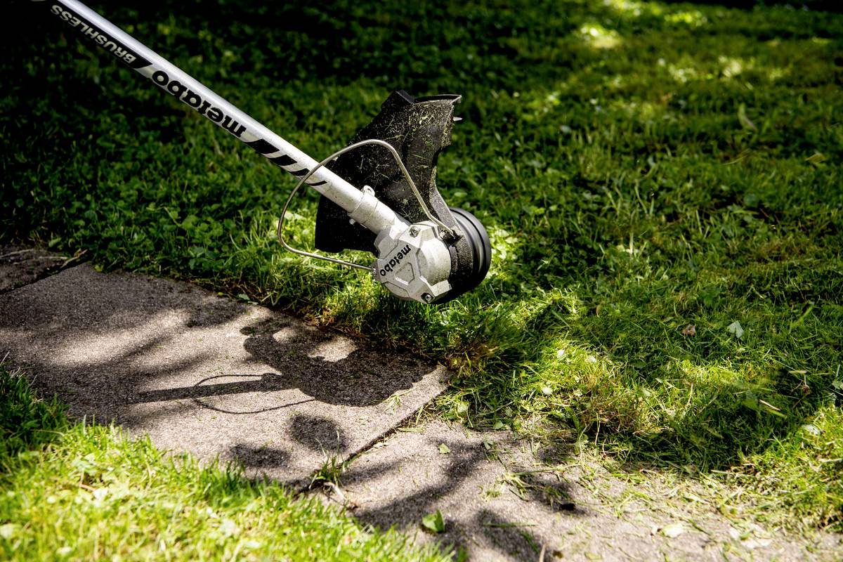 Trawnik jest przycinany koszą mechaniczną. Głowica urządzenia jest blisko ziemi, otoczona zieloną trawą i kamienną ścieżką.