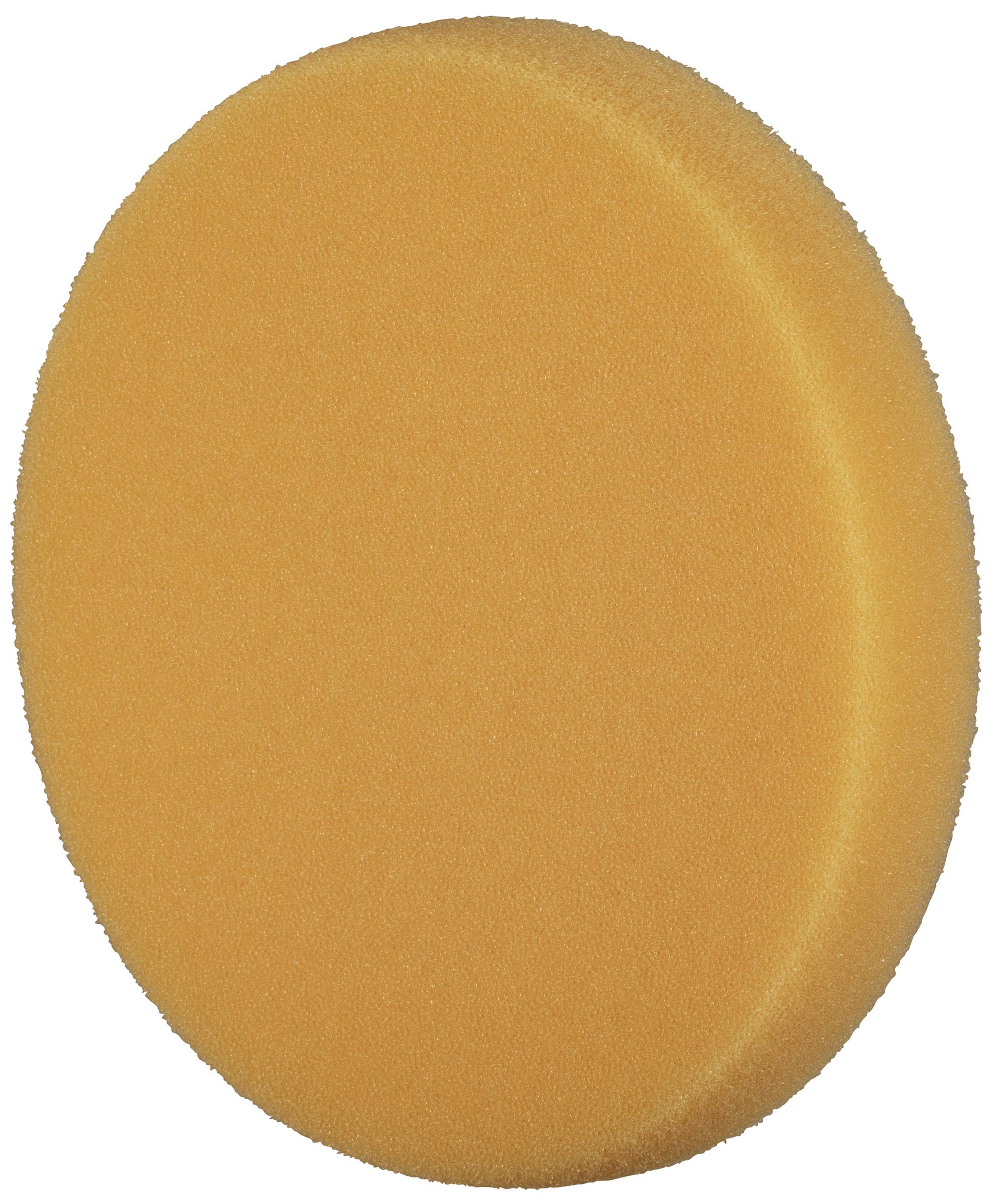 Okrągły, pomarańczowy gąbkowy gąbka widziany od przodu.