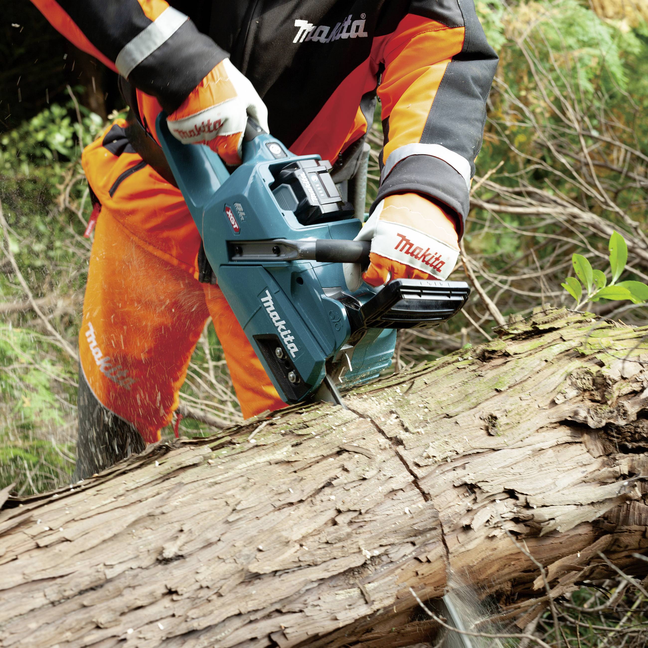 Osoba używa niebieskiej piły łańcuchowej do cięcia pnia drzewa na wolnym powietrzu. Ma na sobie pomarańczową odzież ochronną i rękawice.