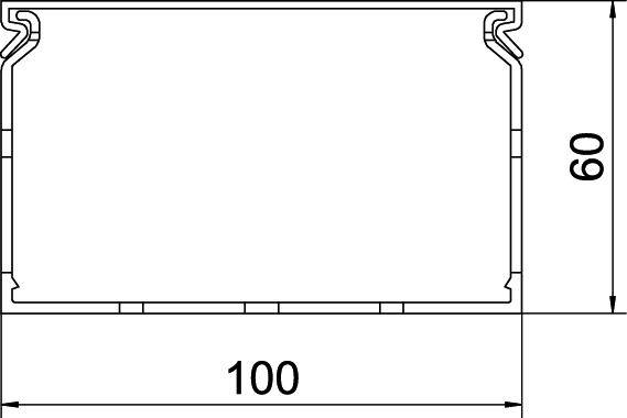 Rysunek przekroju prostokątnego profilu o wymiarach 100 mm szerokości i 60 mm wysokości, przedstawiający szczegóły struktury wewnętrznej.
