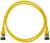 Żółty kabel sieciowy Ethernet z wtykami RJ45 na obu końcach, zwinięty w kształcie koła.