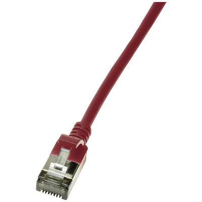 Czerwony kabel Ethernet z wtyczką na końcu, sfotografowany na białym tle.