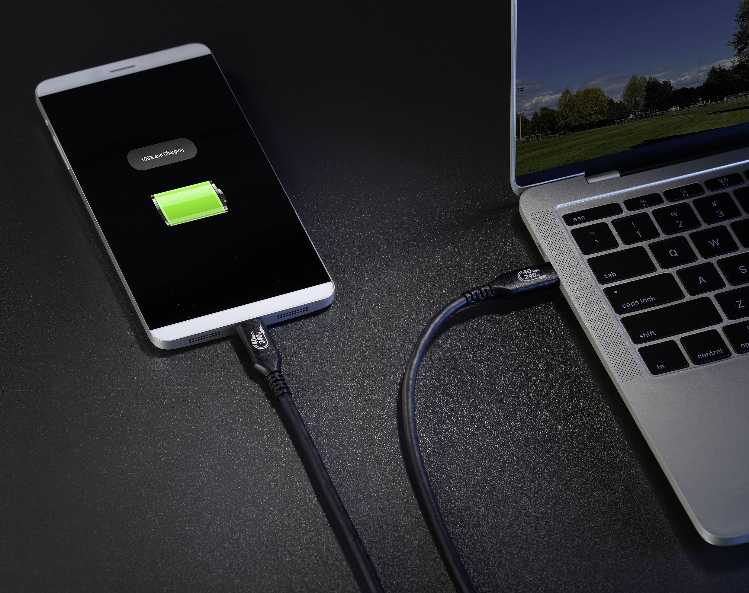 Кабель Renkforce USB4® USB-C® чоловічий-USB-C® чоловічий, 1,00 м, чорний алюмінієвий штекер RF-5235978