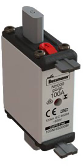 Widoczne oznaczenie 'Wkładka bezpiecznikowa NH 100A' na elemencie mechanicznym z oznakowaniem CE i specyfikacją techniczną.