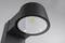 Czarne zewnętrzne oświetlenie LED z okrągłą głowicą lampy i przezroczystą osłoną, świecące w dół. Nowoczesny design do przestrzeni zewnętrznych.
