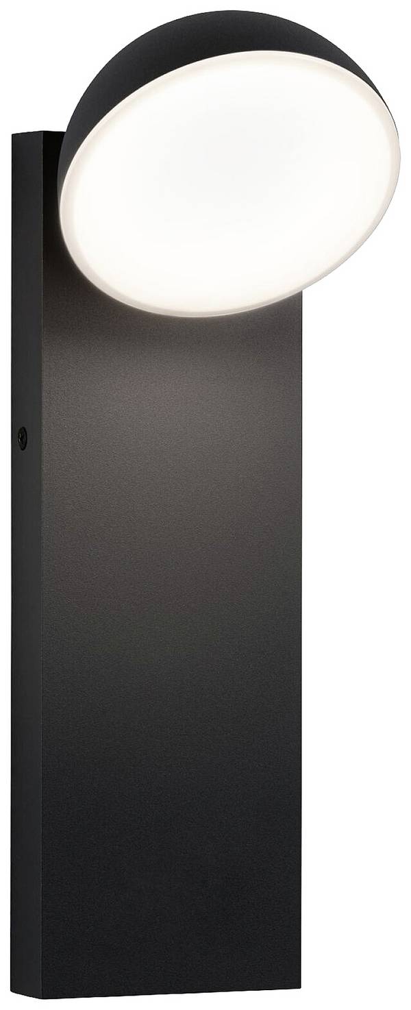 Zewnętrzna lampa ścienna Paulmann Wand Puka 94738 8.5 W 460 lm IP44