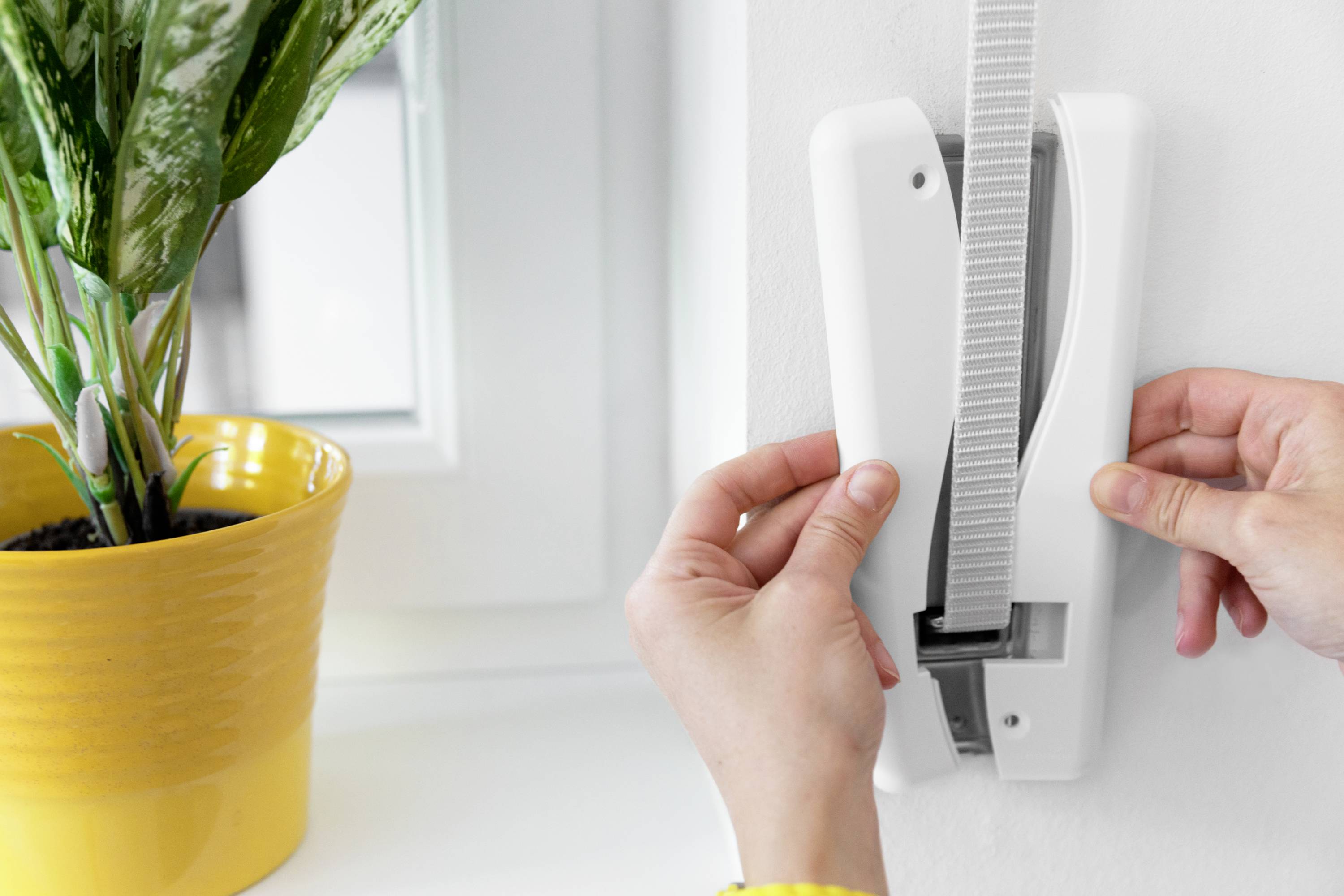 Osoba pociąga za białą linkę żaluzji na ścianie obok okna. Obok stoi żółta doniczka z rośliną.
