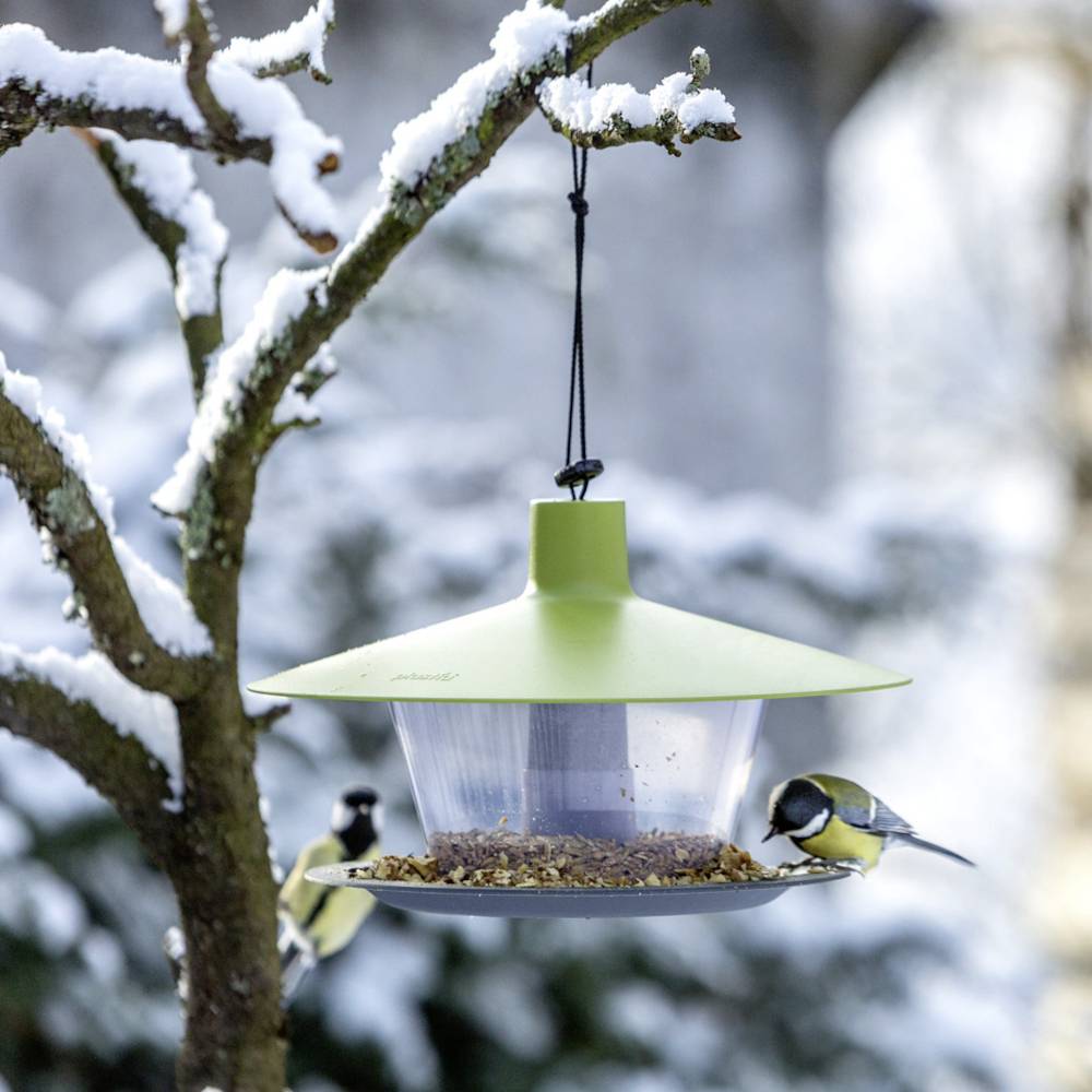 Dwie sikorki jedzą z podajnika karmy dla ptaków zawieszonego na ośnieżonej gałęzi. W tle zimowy krajobraz.