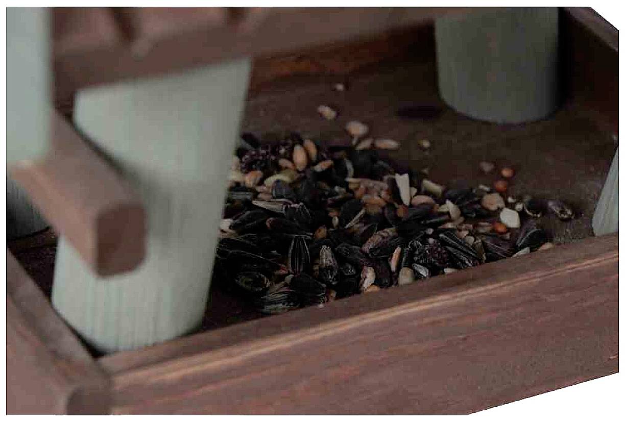 Karmnik z mieszanką różnych nasion rozsypanych na ziemi, gotowy dla ptaków do posiłku.